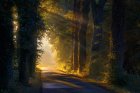 pixabay_chemin_munineux.jpg