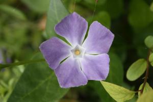 image IMG_4457.jpg (3.0MB)